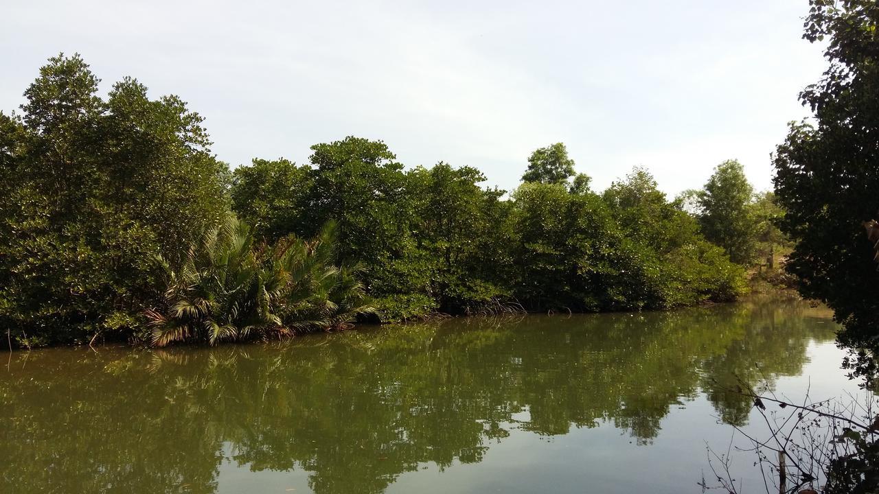 Mangroves & More @ Cambodia Sihanoukville Eksteriør bilde